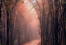 尤文图斯乱局升级？意媒曝孔蒂领衔，尤文已考虑用名帅接班莫塔，效仿曼联乱中求胜？