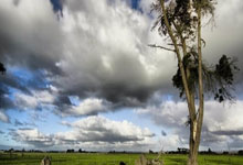 巴萨全力冲刺联赛,面对皇社轻松应对,战术布局与心理优势双管齐下