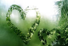 曼联想将奥斯梅恩纳入转会名单，霍伊伦成心仪目标，新赛季阵容重塑在即